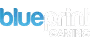 Blueprint Gaming partner logo